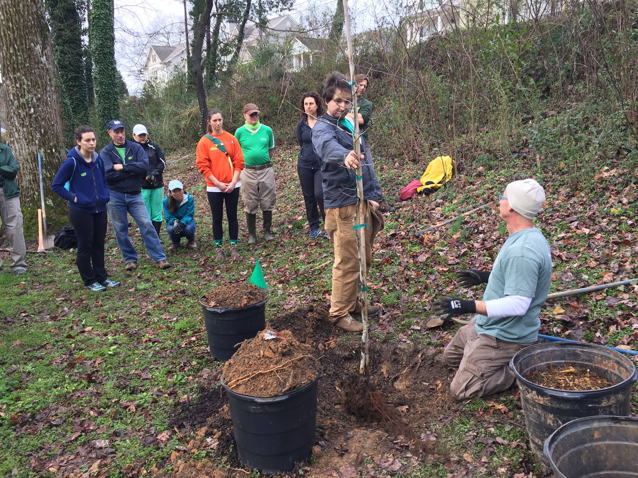 Arbor Day Forestry Commission