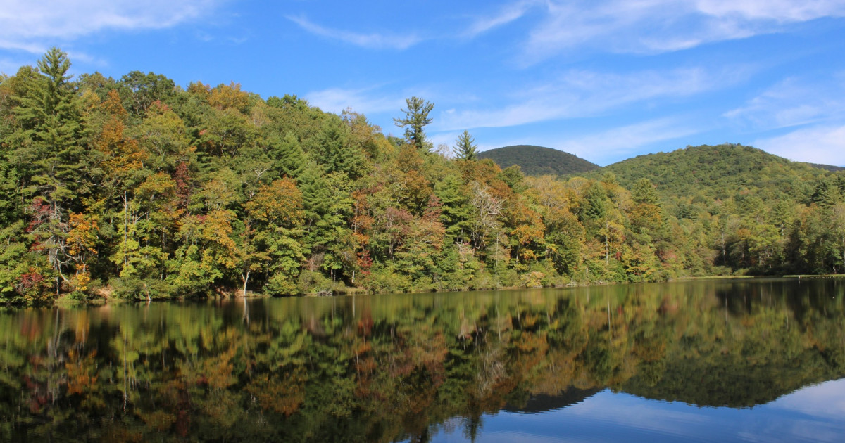 Forest Legacy & Conservation Easements Forestry Commission