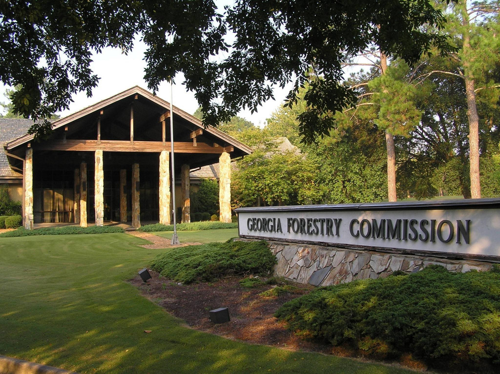 History Forestry Commission