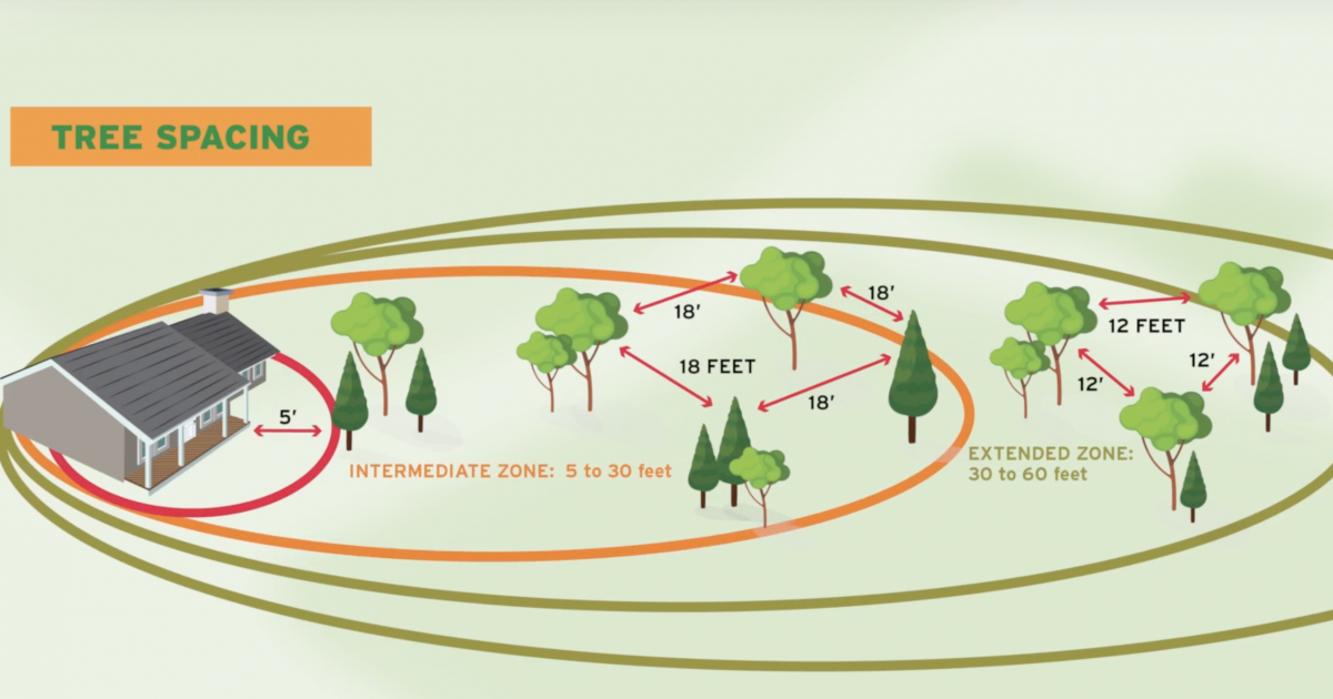 Firewise USA® Program | Georgia Forestry Commission