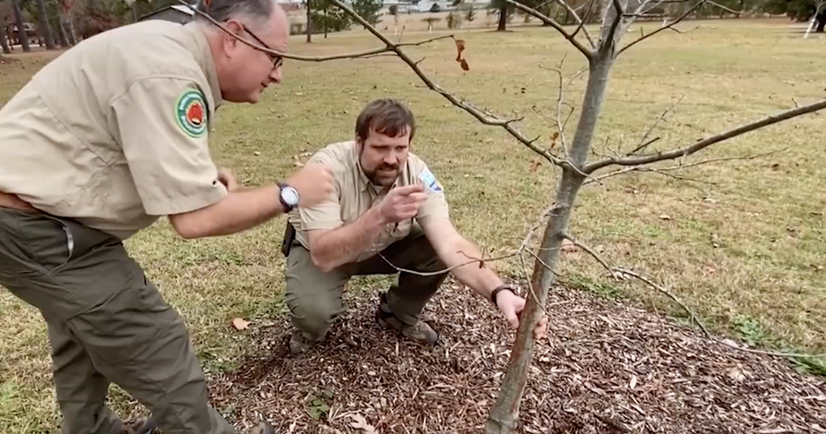 Careers | Georgia Forestry Commission