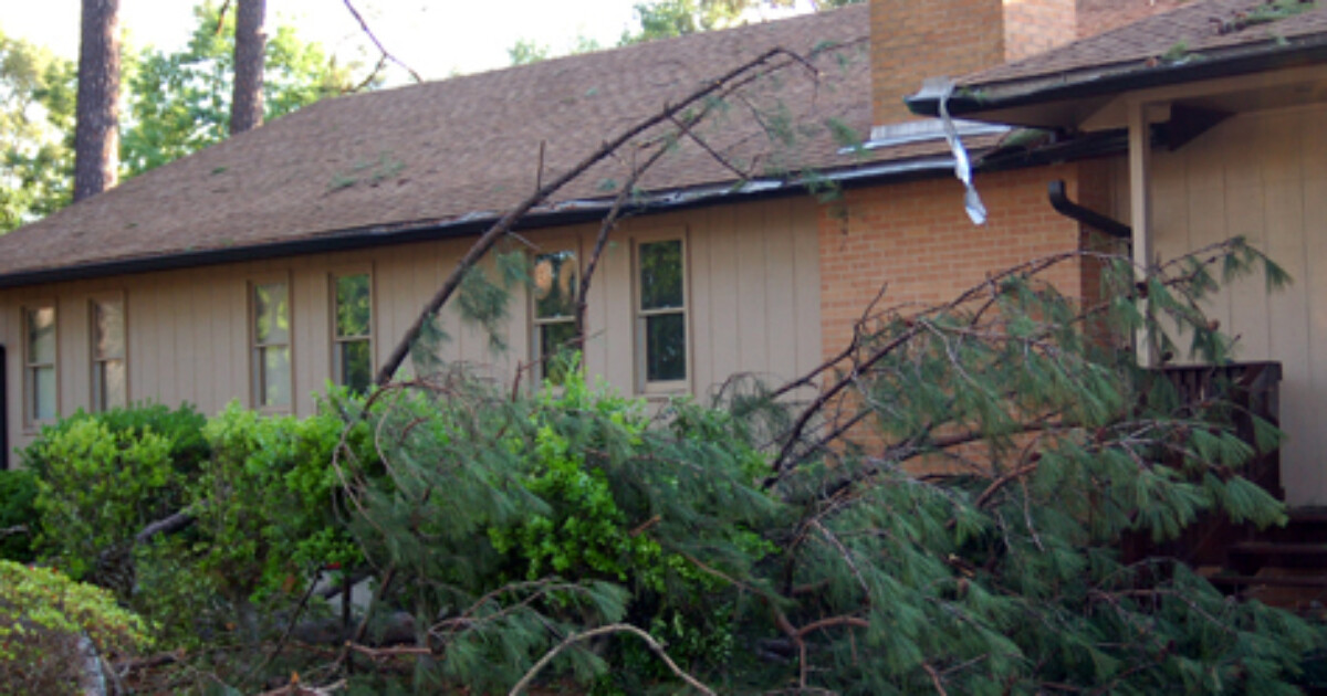 Safety Reminders for Storm Debris Burning | Georgia Forestry Commission