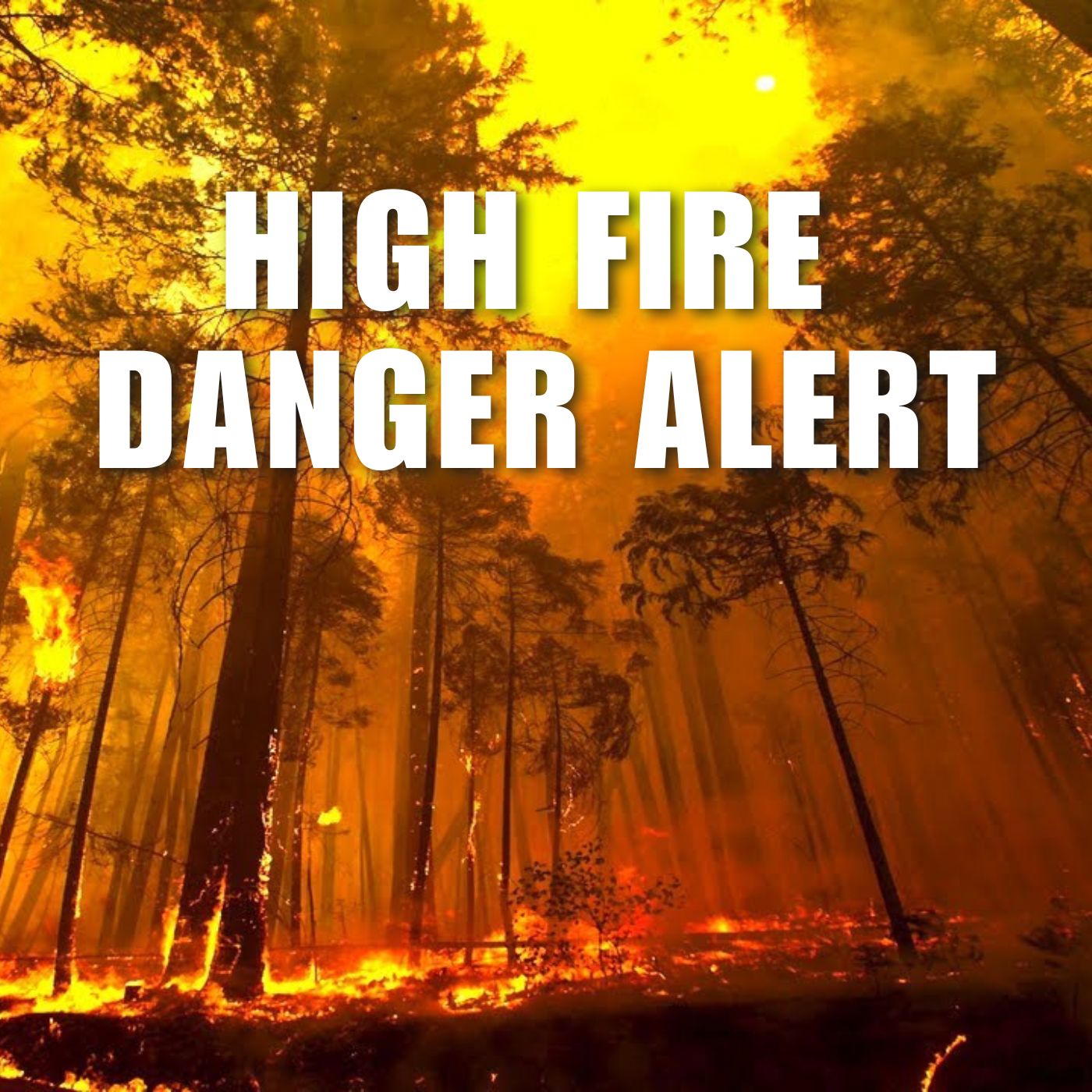 Fire Risk Rising Rapidly with Onset of Cold Front | Georgia Forestry ...