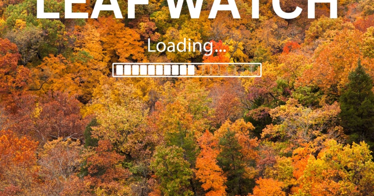 GA Forestry Commission Set to Launch Leaf Watch 2023 | Georgia Forestry