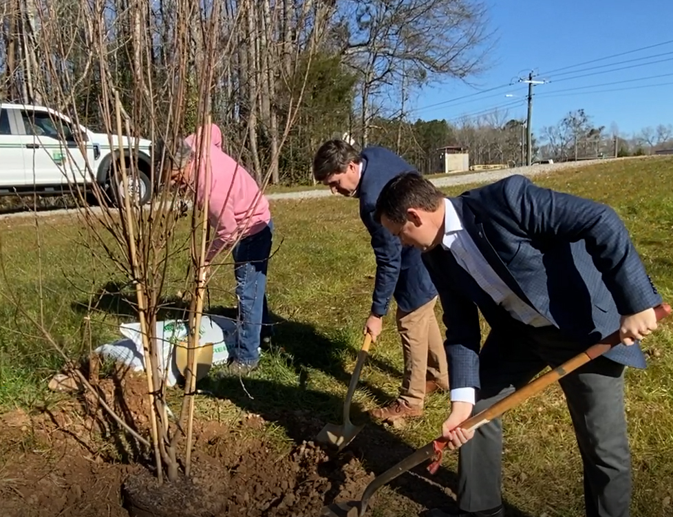 State Celebrates Trees’ Value in February for Georgia Arbor Day