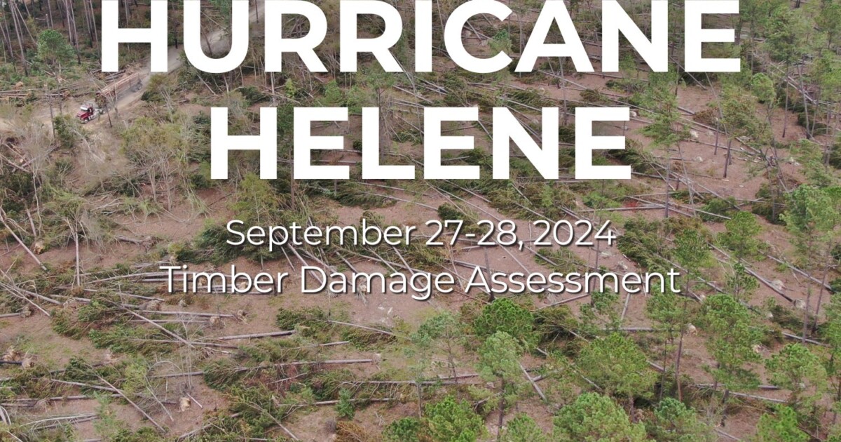 FORESTRY CALCULATES FULL SCOPE OF HURRICANE HELENE’S TIMBER
