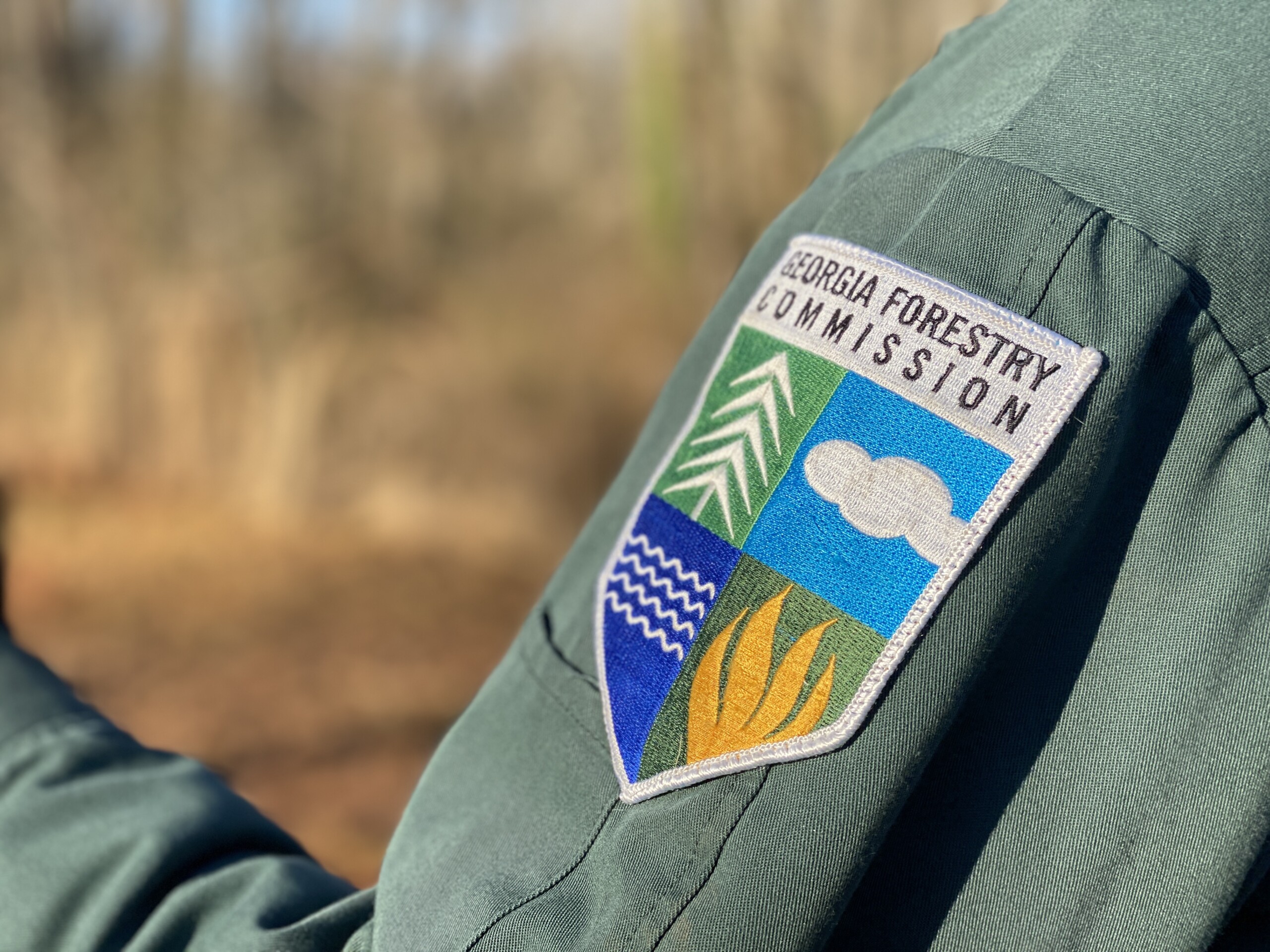 Is a Forestry Career Right for You? GFC Has Jobs!