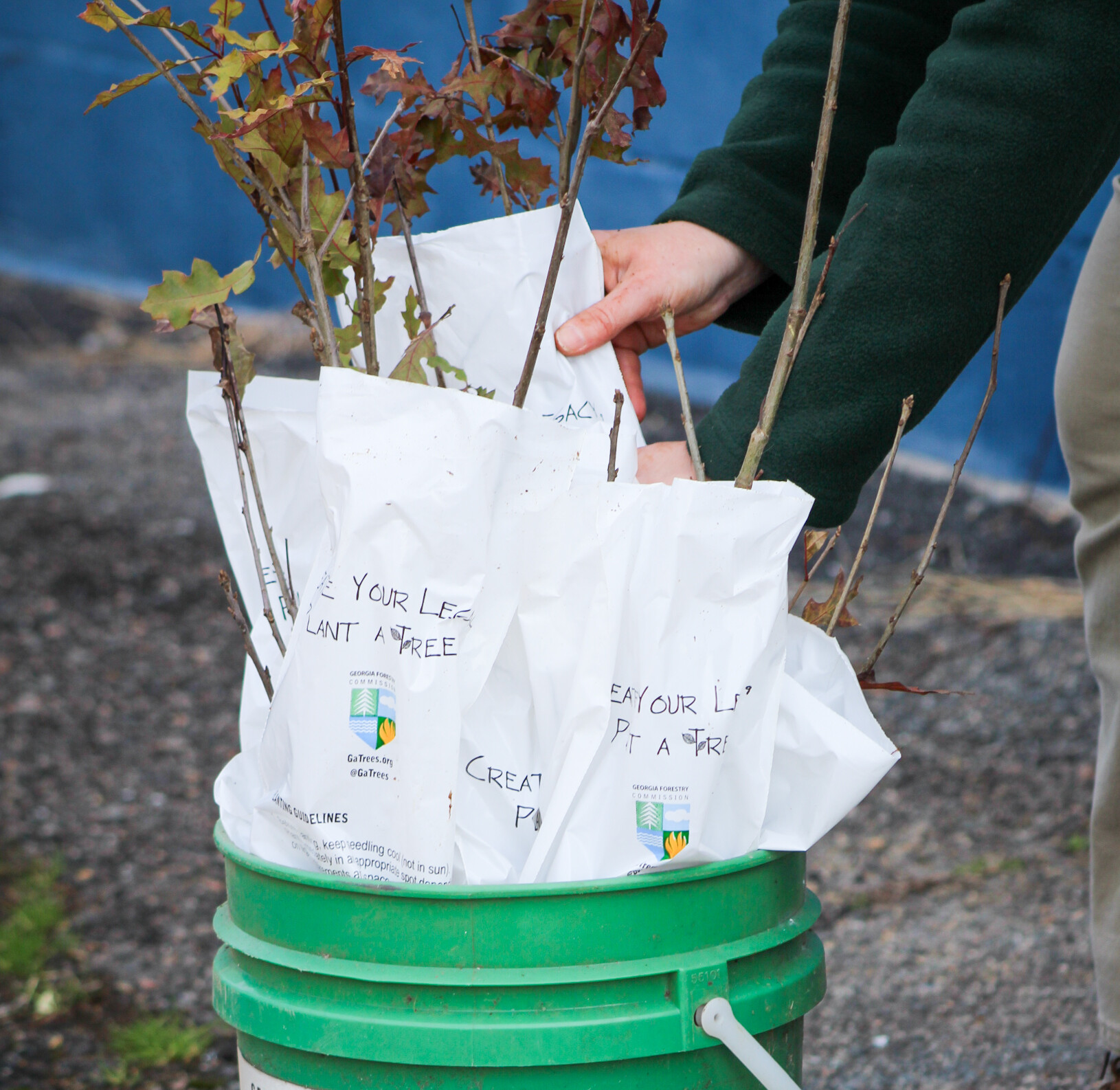 GEORGIA CELEBRATES THE VALUE OF TREES THIS MONTH | Georgia Forestry ...